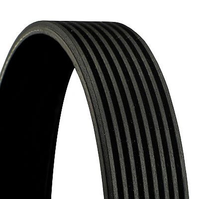 CONTINENTAL CTAM Keilrippenriemen Universal für RENAULT TRUCKS VOLVO 978243 4208K0980PGP 978242 8PK980 Image