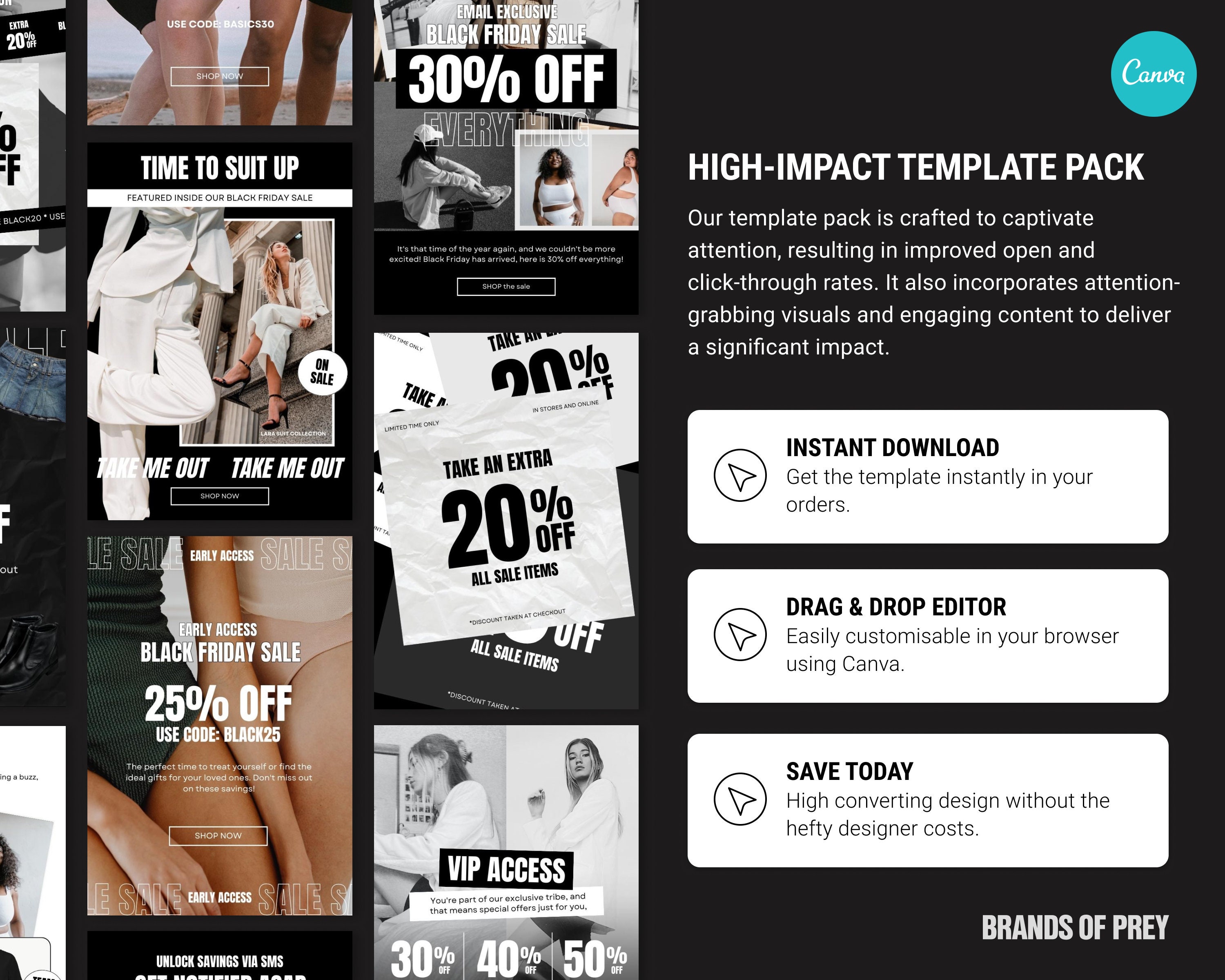 Modelli e-mail di lancio vendita modificabili/E-mail marketing/E-mail marketing prodotto/Pacchetto e-mail Black Friday/Modello e-mail festivo/Canva