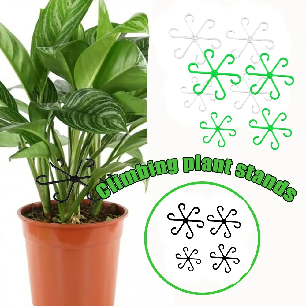 Hydroponische Gartenpflanzen-Stützpfahlrahmen für Monstera Spring Feather Anti Lodging Stabilisator Grünpflanzen Blumen Topf Home Image