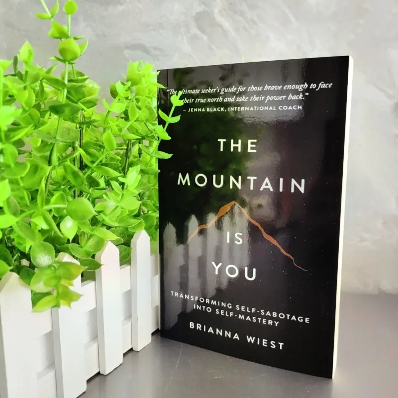 The Mountain Is You: Transforming Self-Sabotage in Self-Mastery English Books Gifts Image
