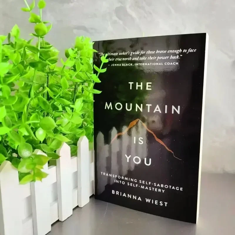 The Mountain Is You: Transforming Self-Sabotage in Self-Mastery Englisch Bücher Geburtstagsgeschenke Image