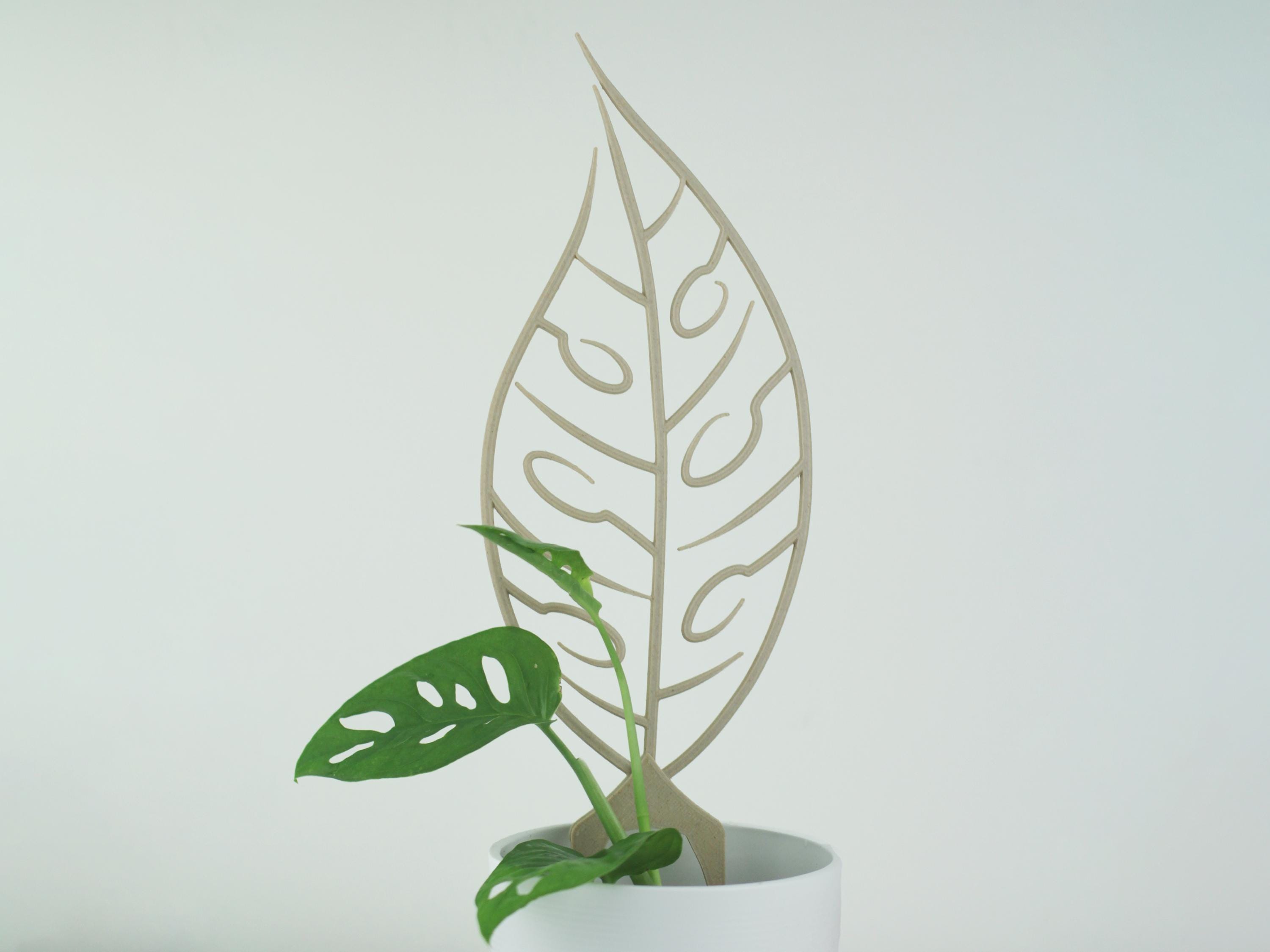 Traliccio per Monstera Adansonii / Traliccio in legno per piante / Traliccio per piante da interno / Supporto Hoya / Tutore per piante