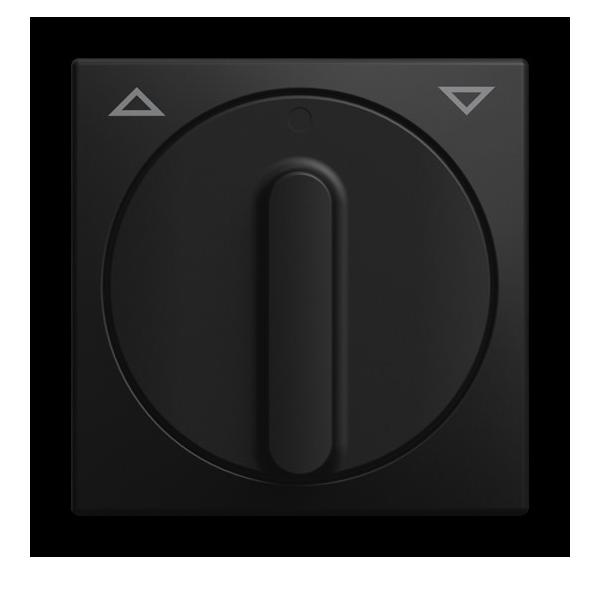 Busch-Jaeger Zentralscheibe 2542 DR-915 2CKA001753A0218 Image