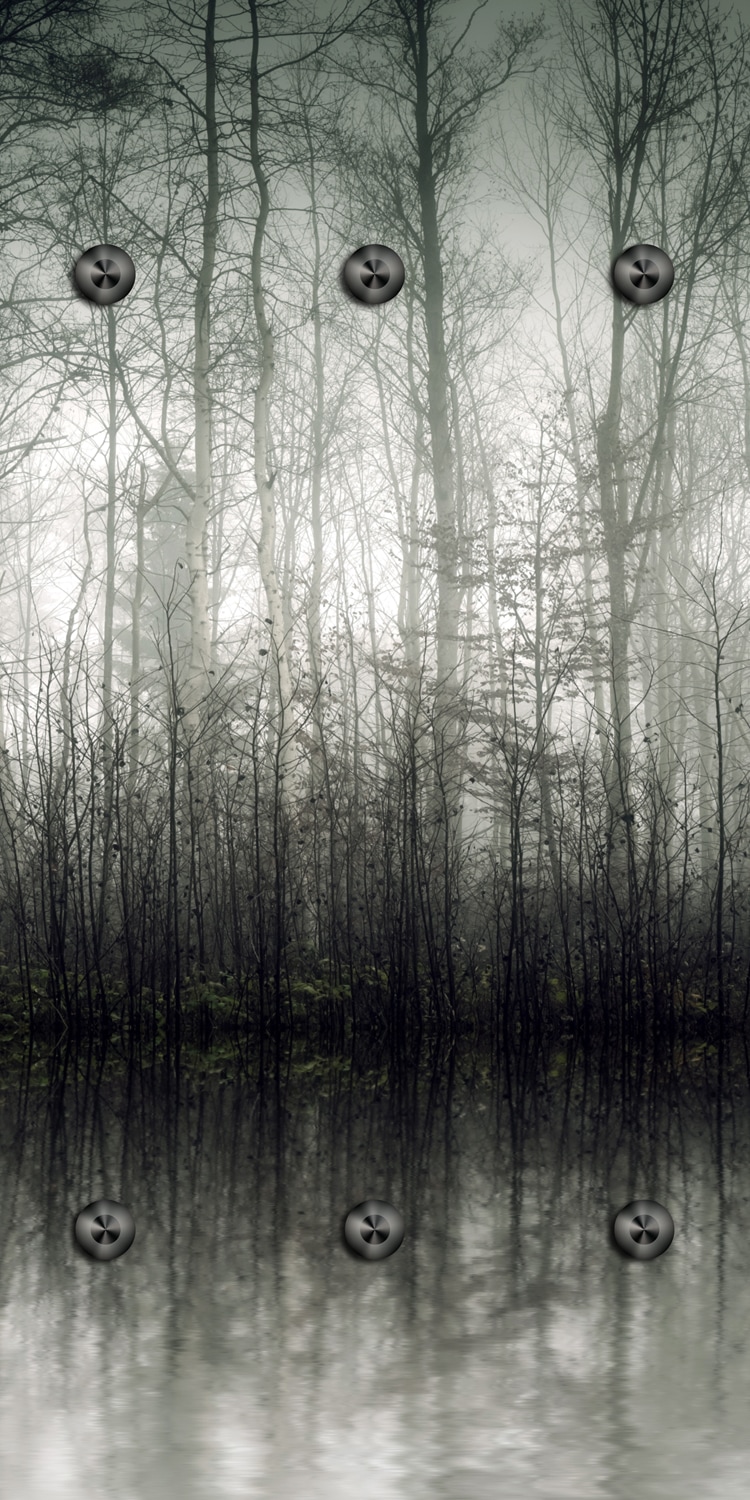 Wandgarderobe QUEENCE "Nebeliger Wald", grau, B:50cm H:100cm T:2cm, Acrylglas, Garderobenpaneele, Wandgarderobe, Wandpaneel aus Acrylglas inkl. 6 Edelstahlhaken in schwarz matt