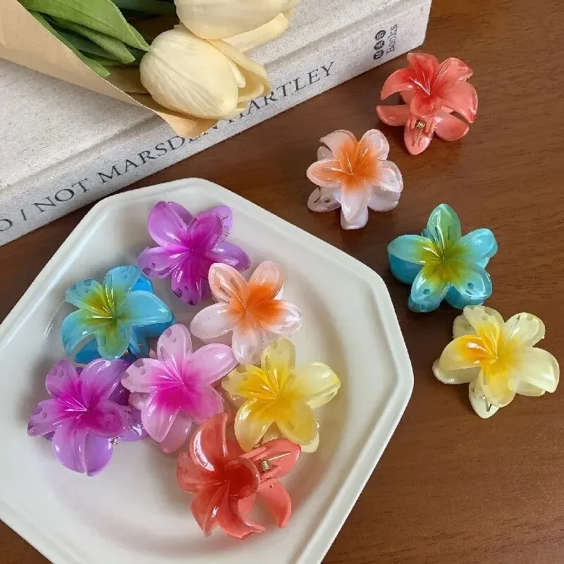 4/8 cm mehrfarbiges Blumen-Haar-Accessoire-Set mit Farbverlauf, Strand-Stil, Haarnadeln, Blumen-Klauen-Clip, Sommer-Blumen-Haarnadeln im hawaiianischen Stil Image