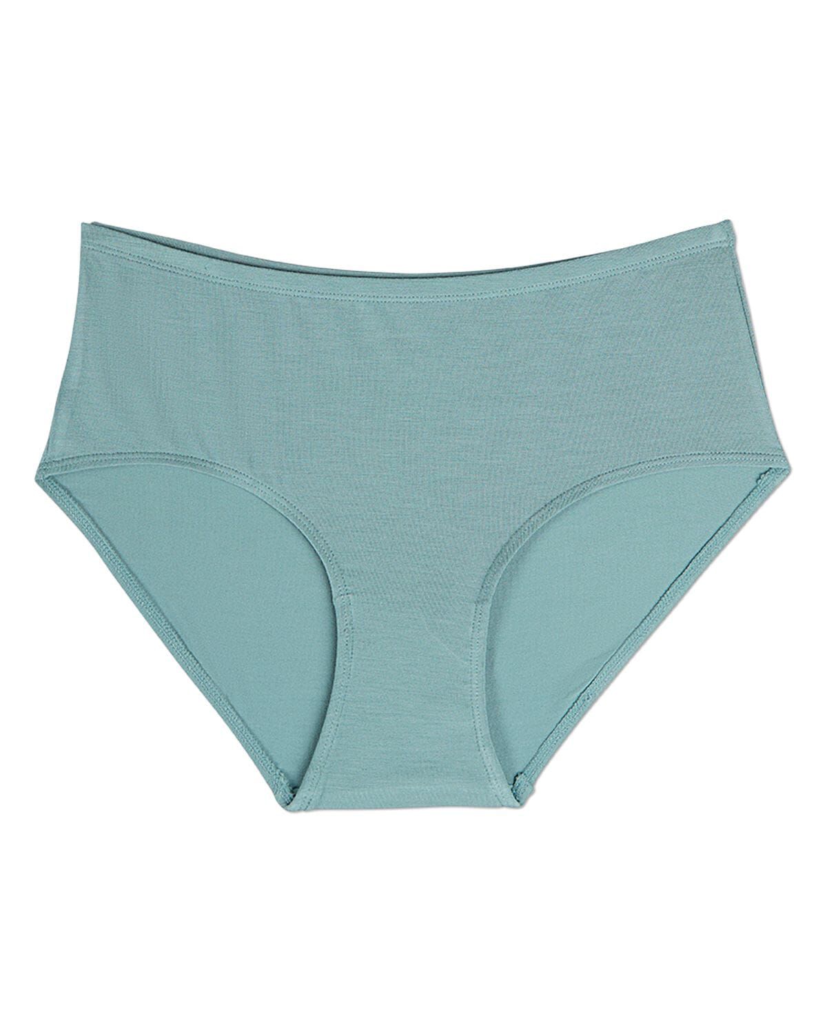 Plus Size Women's 3 Pair Women's Luxe Modal Blend Brief Panties by MeMoi in Arctic (Size XL)