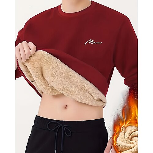 Herren Einfarbig Fleece-Pullover Lounge-Oberteil Herbst Winter Dick Langarm Athleisure Winddicht Warm Fitnessstudio Wandern Laufen Training Yoga Schwarz Weiß Gelb Sportbekleidung Sportkleidung Image