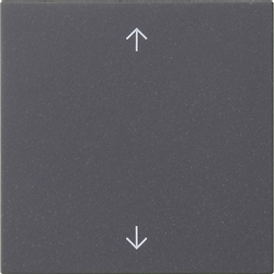 Gira Wippe 1-fach 538928 Image