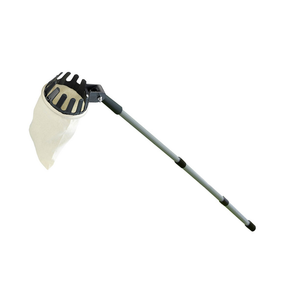 Obstsammler XL mit Teleskopstiel MAXIMEX Image