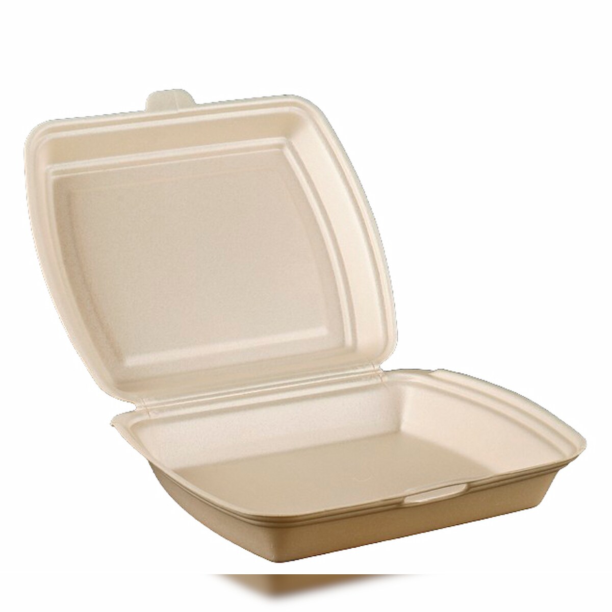 100 Menüboxen ungeteilt, 24,7 x 19,8 x 7,5 cm, 1629X Image