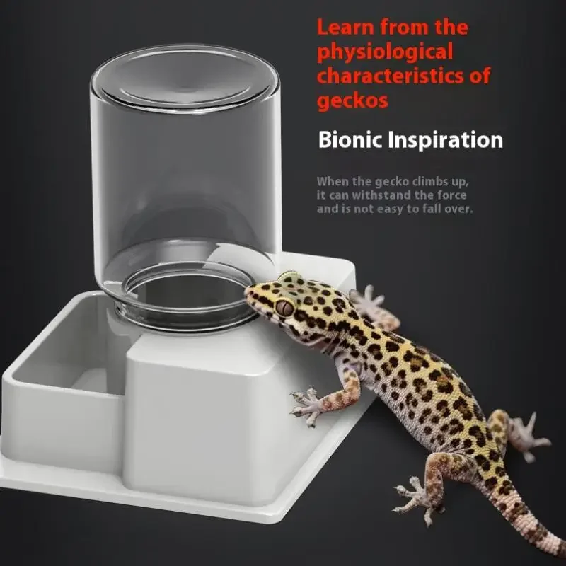 Reptilien-Wasserflasche, automatischer Wasserspender mit Flasche für Schildkröte, Schildkröte, Eidechse, Anti-Ertrinkungs-Wasserspender, Heimtierbedarf