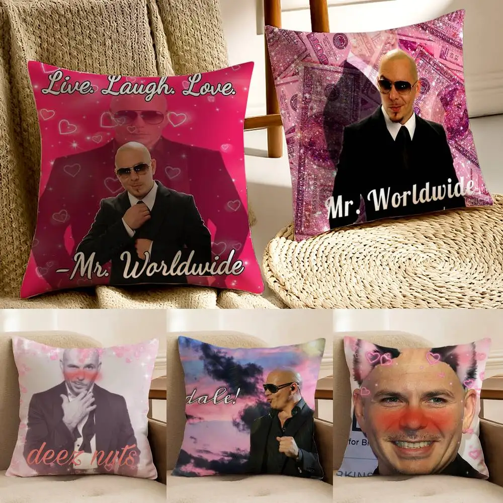 Mr Worldwide P-Pitbull Kissenbezug, Anti-Dustmite, unsichtbarer Reißverschluss, Schlafsofa