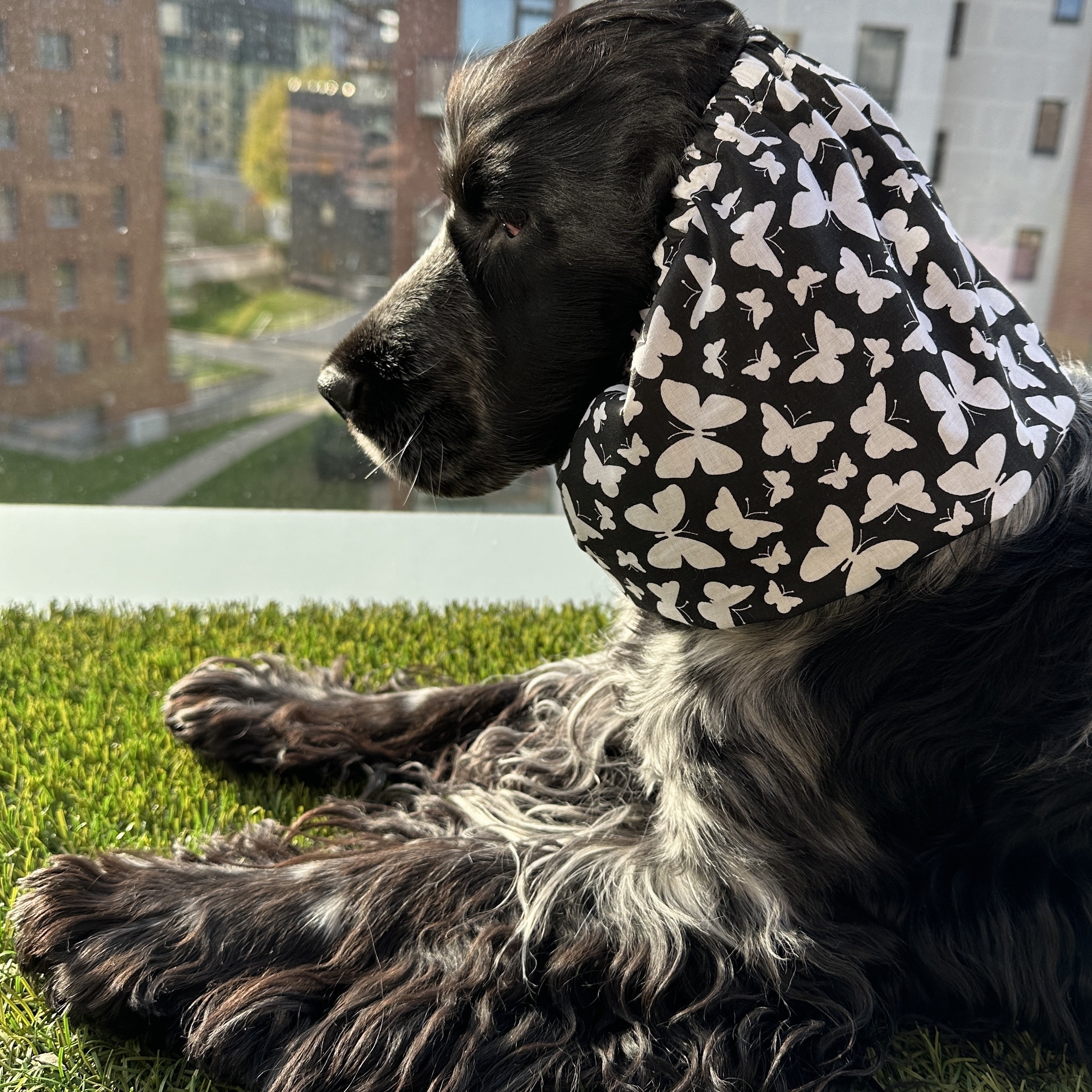 Snood per cani in cotone - Snood per cani dalle orecchie lunghe - Proteggi orecchie - Snood per cani - Copri orecchie per cani - Snood Cocker - Snood