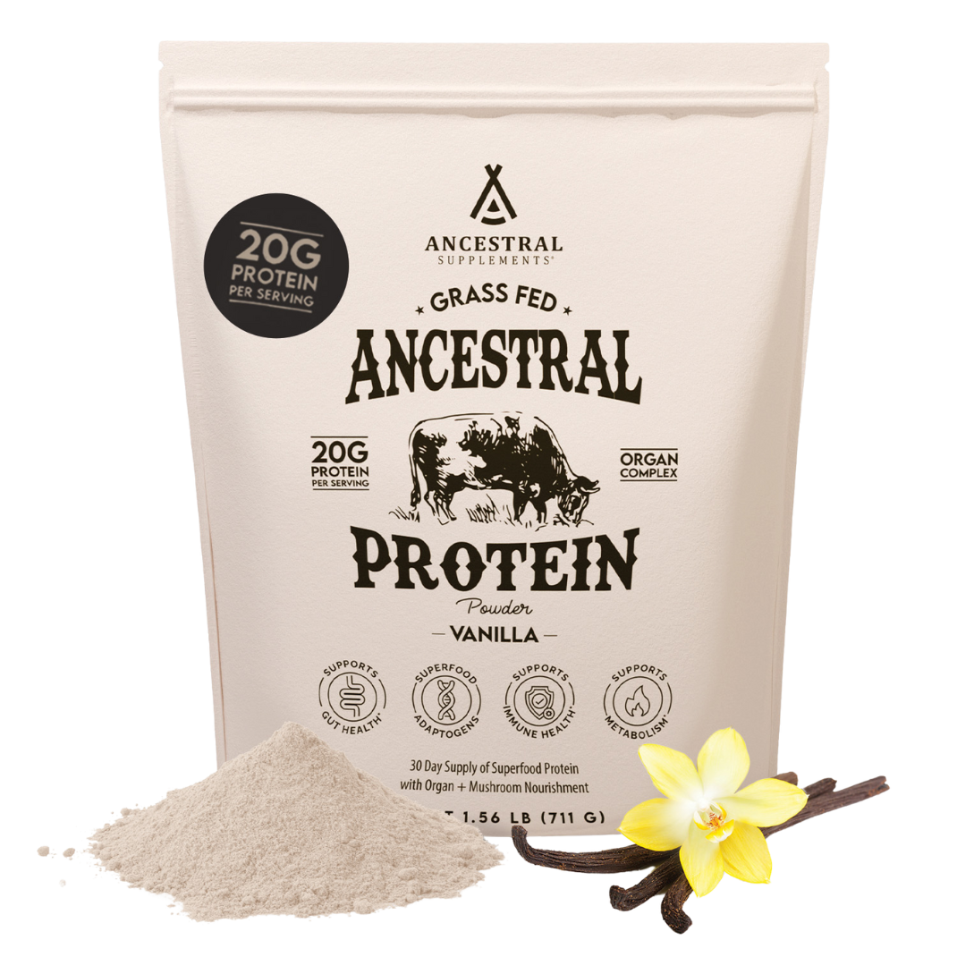 Ancestral Supplements - Gluten & Dairy-Free Protein Powder - Vanilla Dietary Supplement - Grass Fed Vanilla Protein Powder