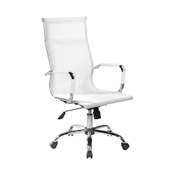 Dmora Bürostuhl Dfrosi, Chefsessel mit Armlehnen, Ergonomischer Bürostuhl, Weiß, 63x54h106/116 cm Image