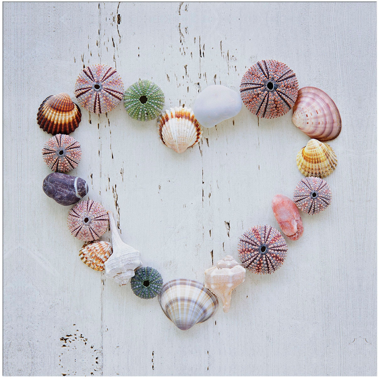 Leinwandbild ART FOR THE HOME "Outdoor Muschelherz 50x70cm", weiß (farbe bild(er): weiß), B:50cm H:50cm T:2,3cm Ø:2,3cm, Bilder, Leinwandbild, Leinwand für draußen -Muschelherz - 50x50cm