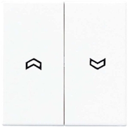 Jung Wippe Symbole aws A 595 P WW A595PWW Image