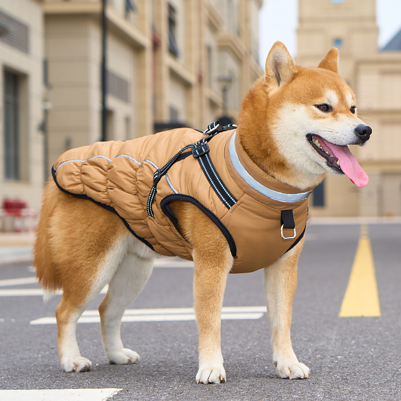 Warm Dog Coat Dog Jacket Waterproof Puppy Winter Coat with Buckles Reflective Adjustable Pet Snow Jacket Fleece Sweater for Medium Large Dogs