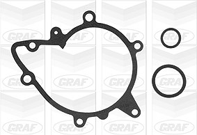 Graf Wasserpumpe, Motorkühlung [Hersteller-Nr. PA856] für BMW, Land Rover