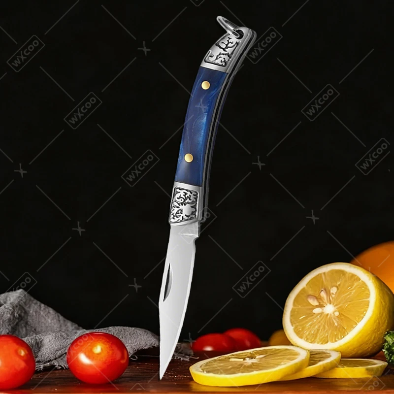 Stainless Steel Mini Knife With Non Slip Handle, Household Kitchen Folding Pocket Knife, Multifunctional Fruit Knife a 1pcs