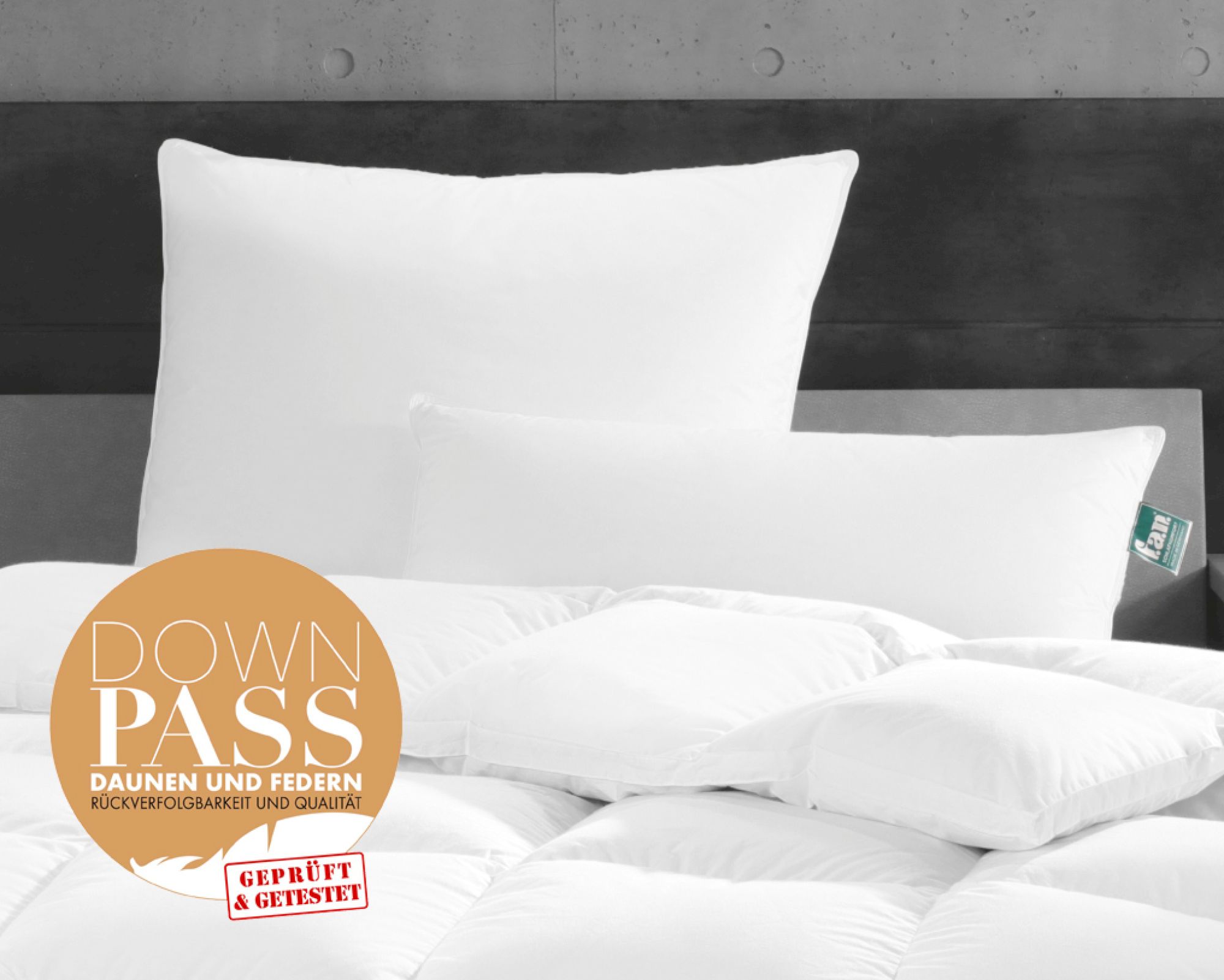 Frankenstolz »fan Canada« Kissen Biobasiert Kissen medium / 40x80 cm / 550g Image