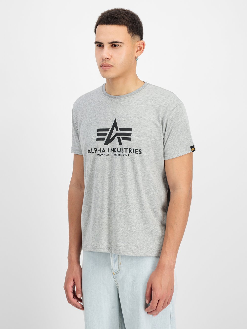 Alpha Industries T-Shirt Herren grau, L Image