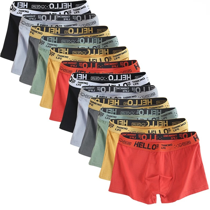 6 stück Herren Unterwäsche Männer Baumwolle Unterhose Männlich Reine Männer Höschen Shorts Atmungsaktive Boxer Shorts Bequeme weiche Plus größe Image