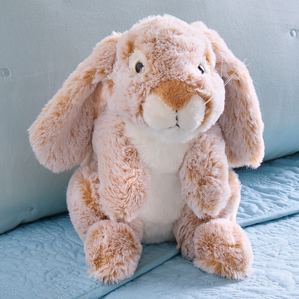 Bella das Häschen Image