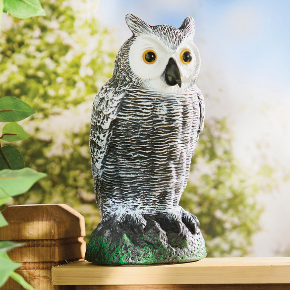 Vogelschreck "Eule" Image