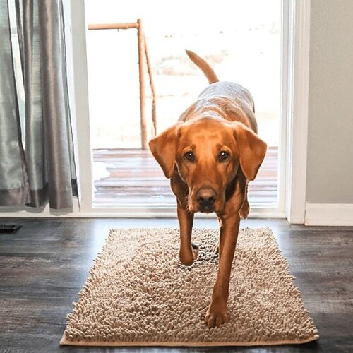 Fußmatte, Badezimmerteppich, hoch saugfähige Mikrofaser-Fußmatte und Haustierteppich, rutschfest, dick, waschbar, weicher Chenille-Boden- und Badematte für Küche, Bad, Schlafzimmer, drinnen und Image