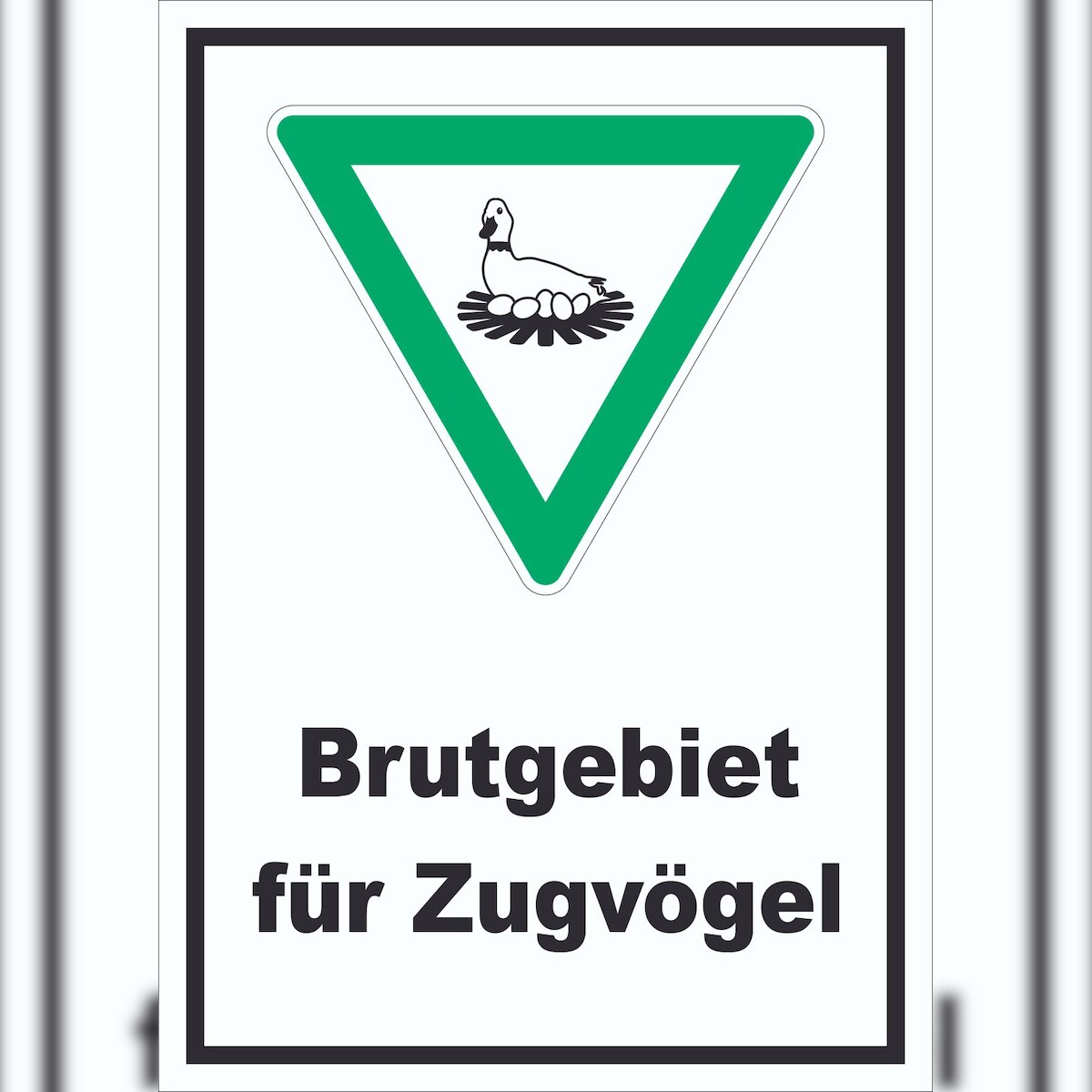 HB-Druck Brutgebiet für Zugvögel Schild A2 Rückseite selbstklebend Image