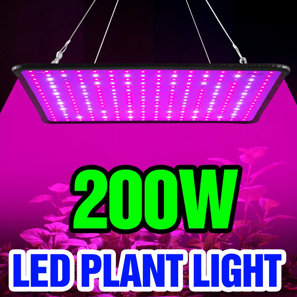 200 W LED Quantum Board Wachsen Licht Vollspektrum Pflanzenlampe Gewächshaus Zelt Innen Gemüse Topf Kaktus Anbau Beleuchtung