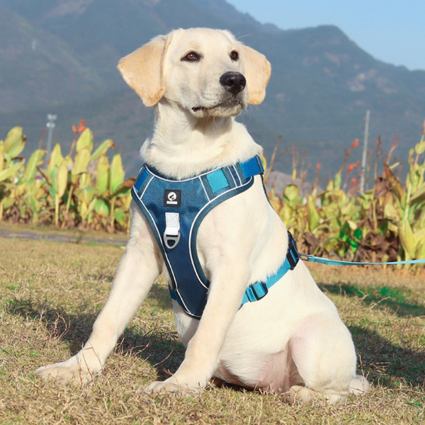 Reflective Adjustable Dog Harness For Walk, Durable Oxford Training Vest, Dog Labrador Army Cloth, Comfortable Fit khaki s