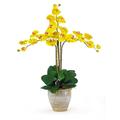 Nearly Natural Triple Phalaenopsis Silk Orchid Flower Arrangement Yellow