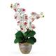 Nearly Natural Double Phalaenopsis Silk Orchid Flower Arrangement White