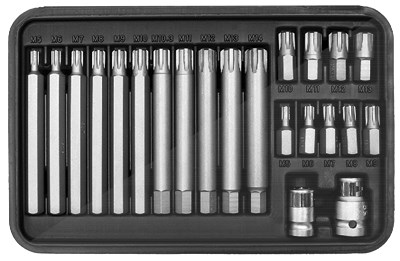 Sw Stahl Bitsortiment, 3/8, RB-Profil, 5-14, 22-teilig [Hersteller-Nr. 04425L] Image