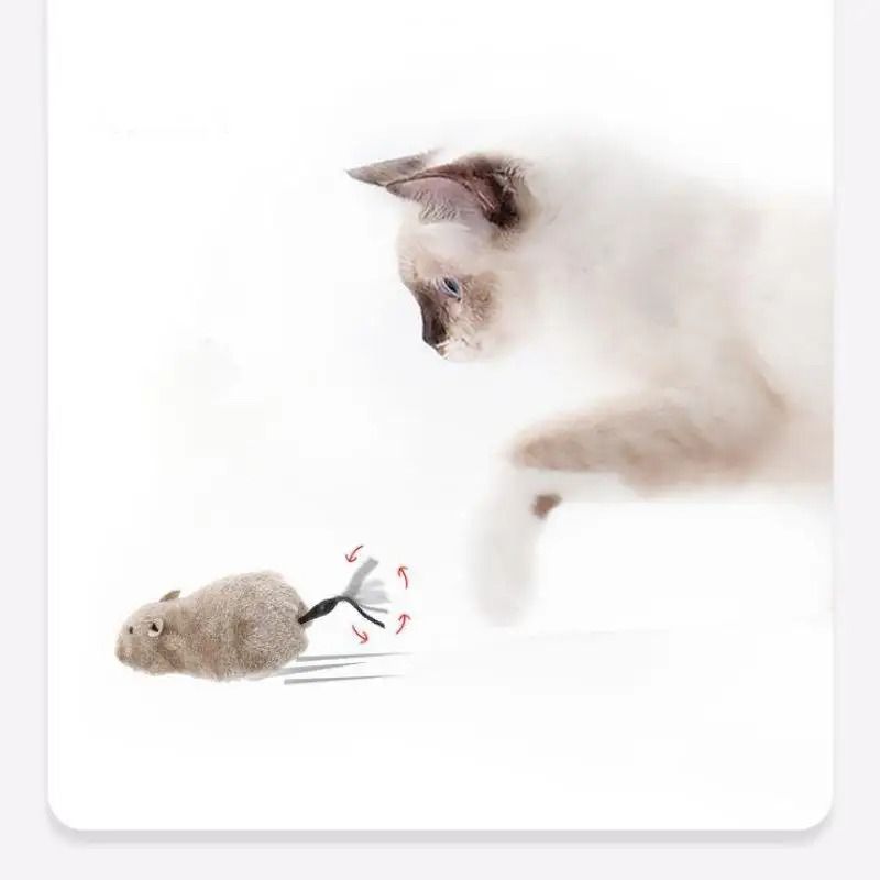 Wind Up Plush Mouse Toy Lifelike Running Pet Toy For Cats And Dogs Random Color Wind Up Plush Mouse Toy Lifelike Running Pet Toy For Cats And Dogs Random Color