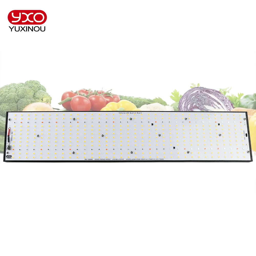 LED-Wachstumslicht LM301H240W 480W720W Hohe PPFD-Vollspektrum-Phytolampe für Pflanzen, Zelt, Gewächshaus, Hydrokultur-Anbausystem Image