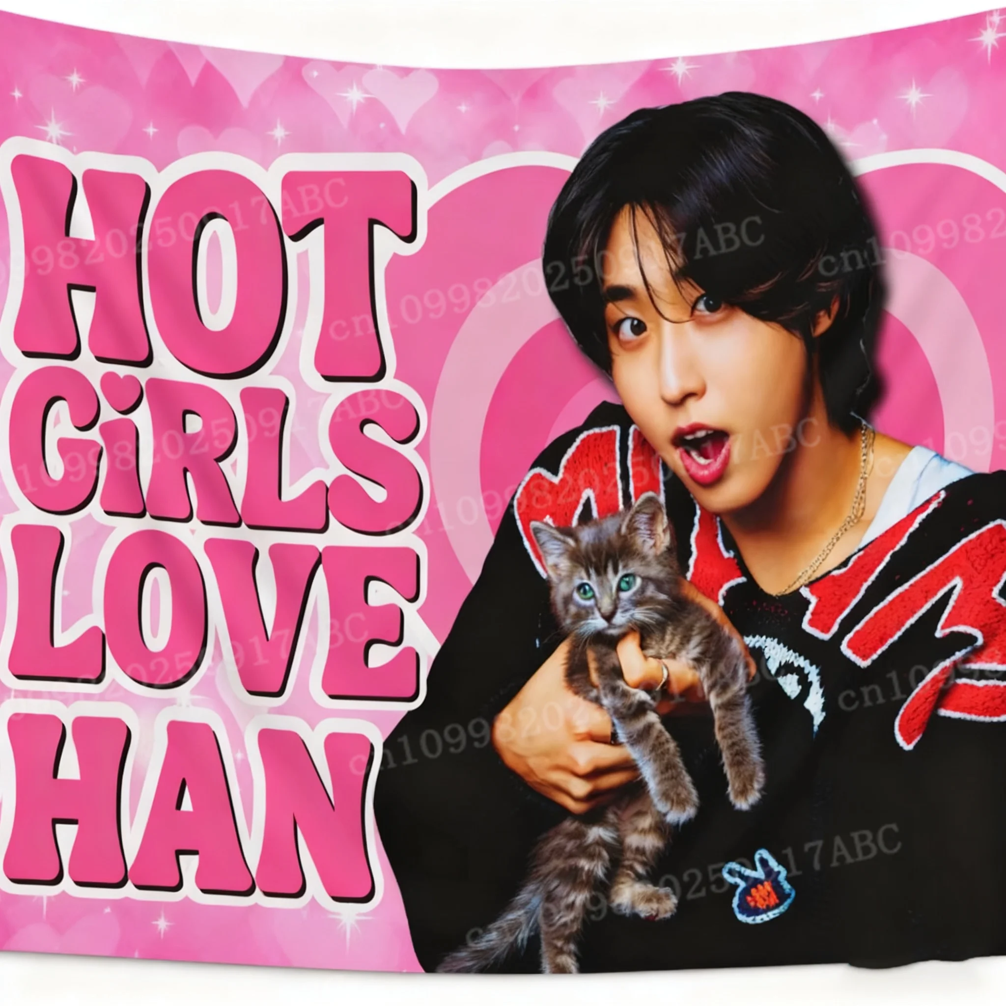 Kpop Idol Wandteppich SKZ Han Jisung Rosa Amerikanische Flagge Wandteppich Wandbehang Wandteppich Dekoration Hintergrund Tuch Garten Wandteppich Image