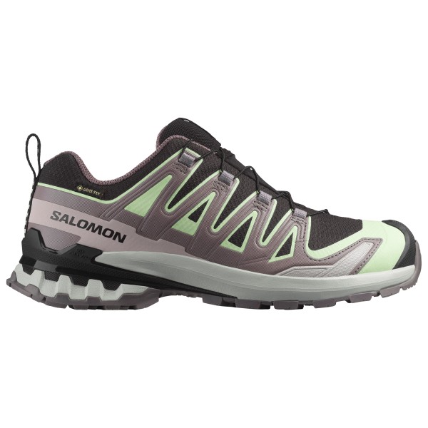 Salomon - Women's XA Pro 3D V9 GTX - Multisportschuhe 41 1/3 | EU 41 grau
