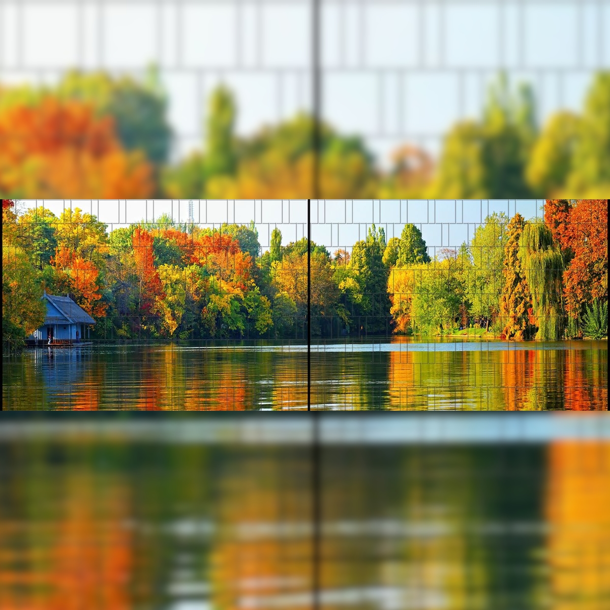 zaun|zu® Zaunblende Blätterwald XL - Bedruckter Panorama Sichtschutz 5,0m x 1,8m Image