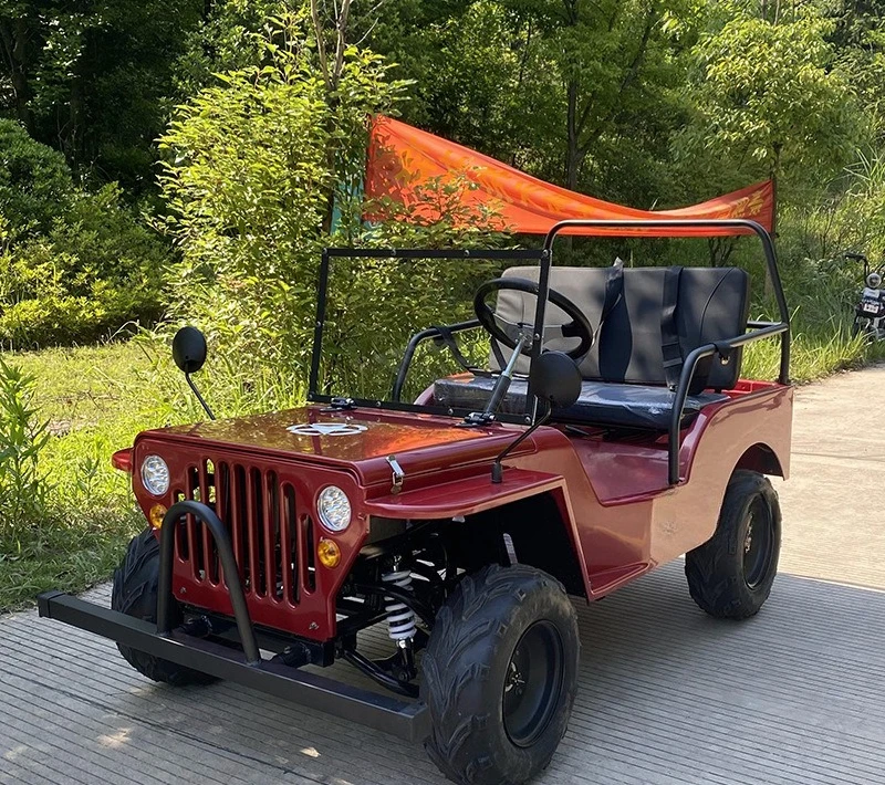 All-Terrain-Strandauto für Erwachsene, elektrischer Bauer, Geländewagen, doppelte Freizeit, malerischer Kart Image