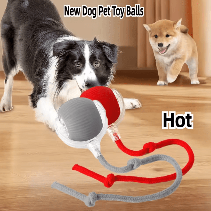 Rechargeable Interactive Pet Ball Toy Automatic Rolling Cat Ball & Rechargeable Electric Dog Toy With Smart Motion rope red