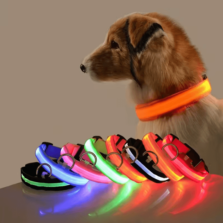 Nylon Luminous Dog Leash And Glow In The Dark Dog Collar LED Safety Pet Leash For Night Walking red xs
