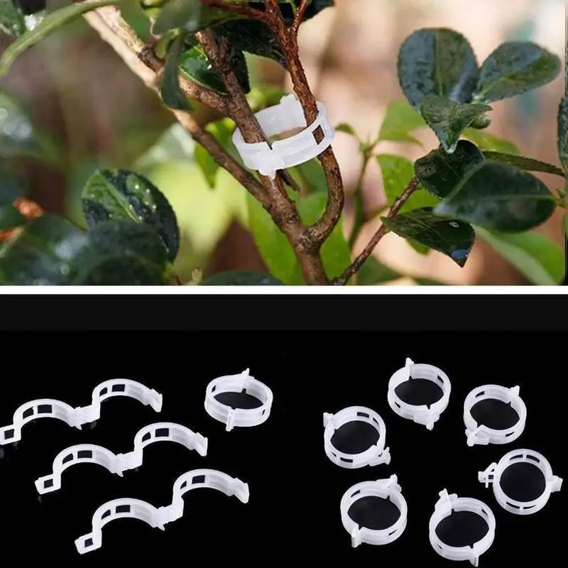 Reusable Plant Support Clips For Vines Plastic Trellis Stem Fixing Connectors For Garden, Orchard & Climbing Plants 1 Pc