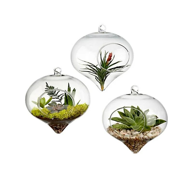 Terrarium Glass Ball Hanging Flower Vase Terrarium Glass Ball Hanging Flower Vase