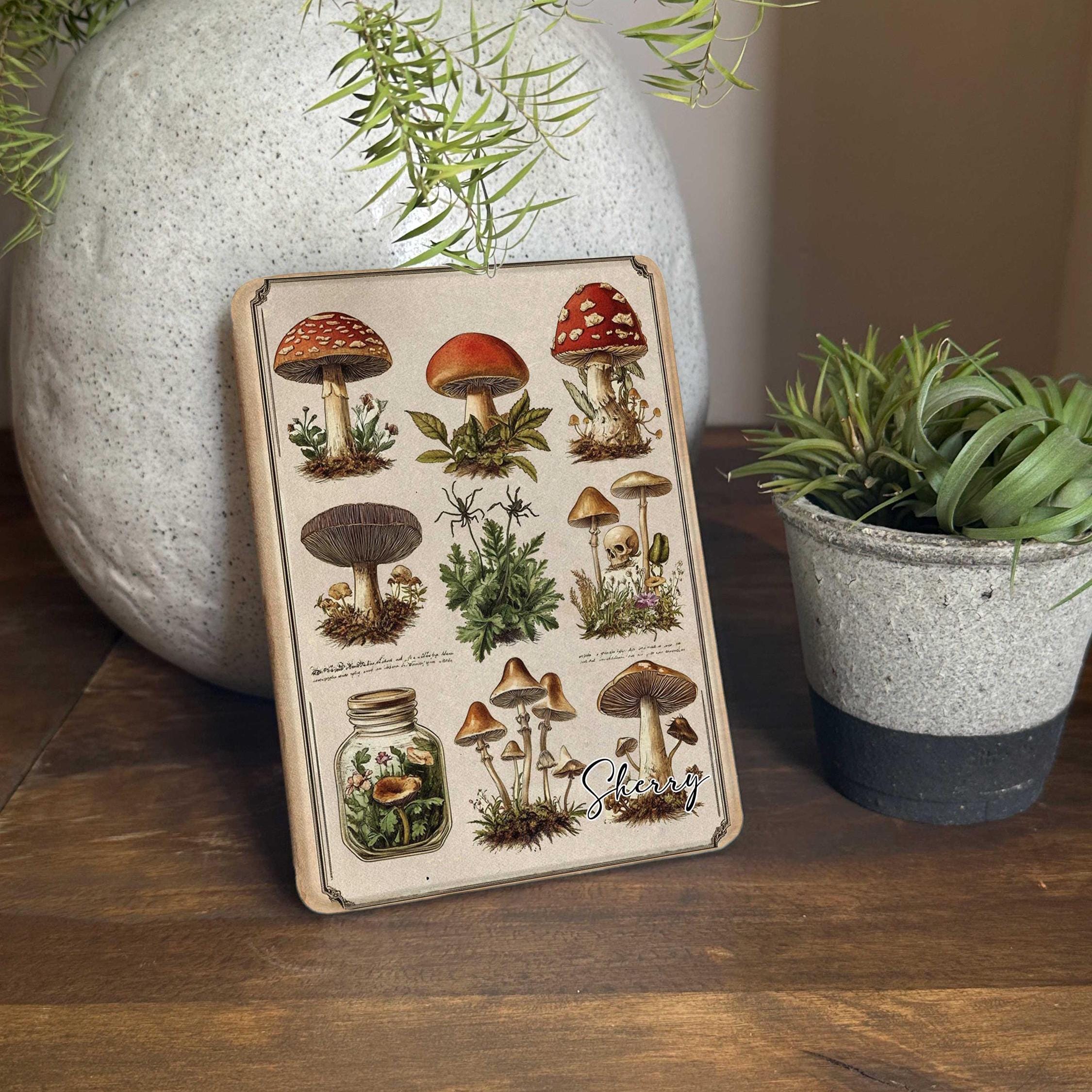 Custodia per Kindle Paperwhite 12th 2024 con funghi / Custodia Colorsoft da 7 pollici, custodia Paperwhite, custodia Fire HD, custodia Kindle regalo p