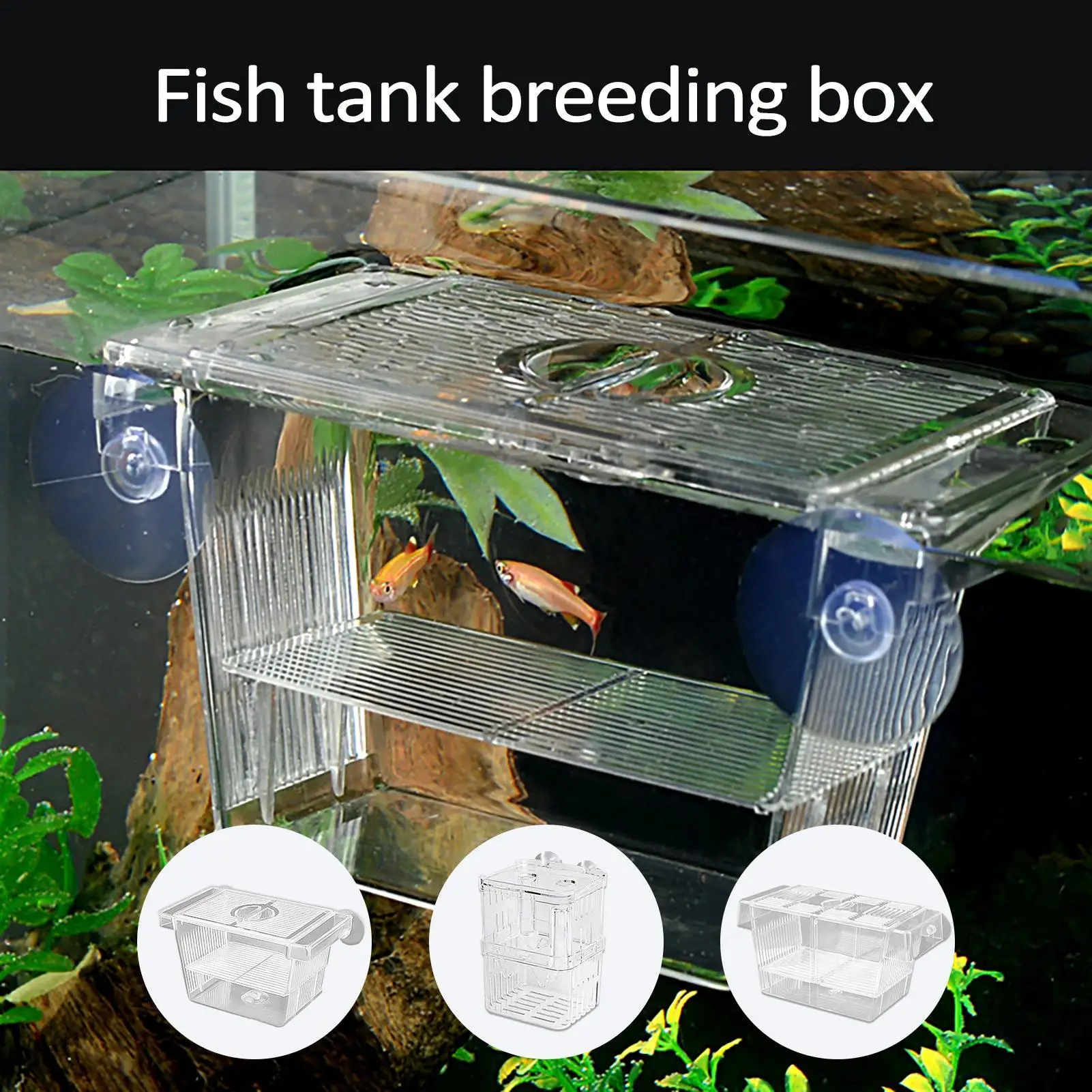 Aquarium Fischzuchtbox Transparentes Betta-Fischbecken Fischzucht-Isolationsbox Brutkasten für Babyfische Garnelen-Falle Image