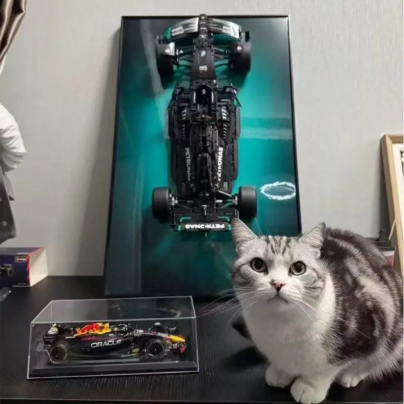 NEU Nur Display-Wandhalterung Geeignet für LEGO 42171 Mercedes-AMG F1 Baustein-Automodell Wandmontage Vitrine Bilderrahmen