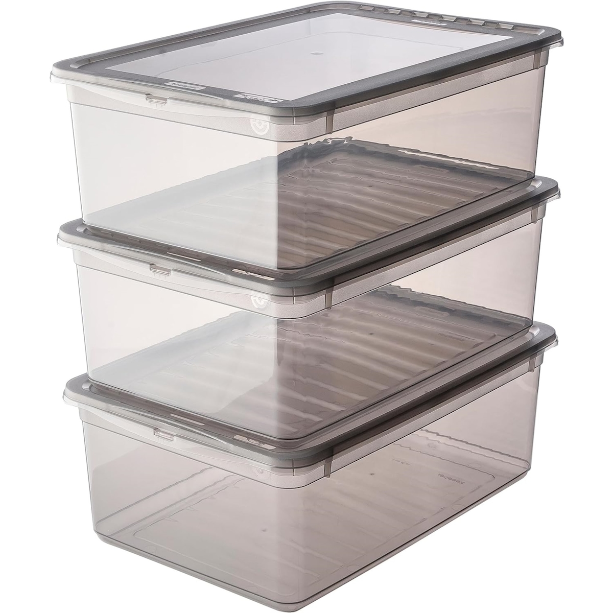 Keeeper Bea - Clearbox 4x11L in durchscheinendem Grau 39x26,5x14 cm Image